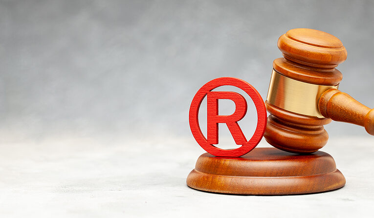 Understanding Trademark Litigation