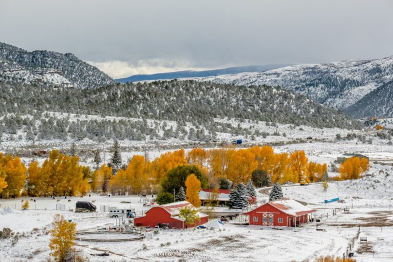 Can The Government Take Your Land