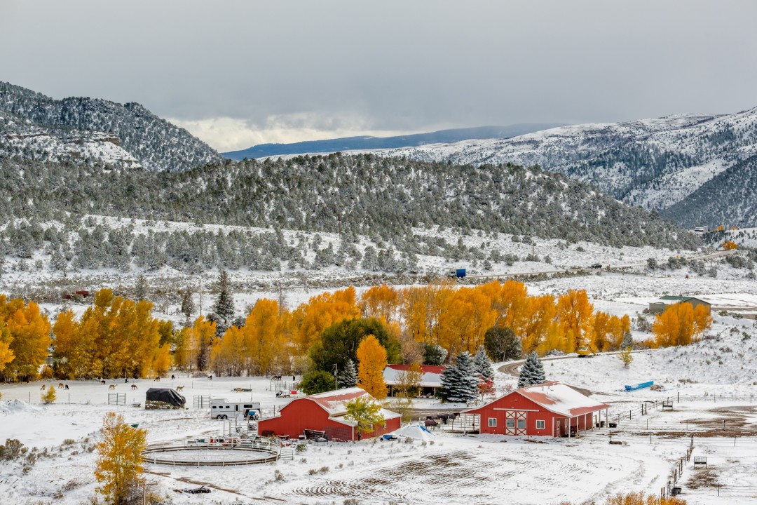 Can The Government Take Your Land